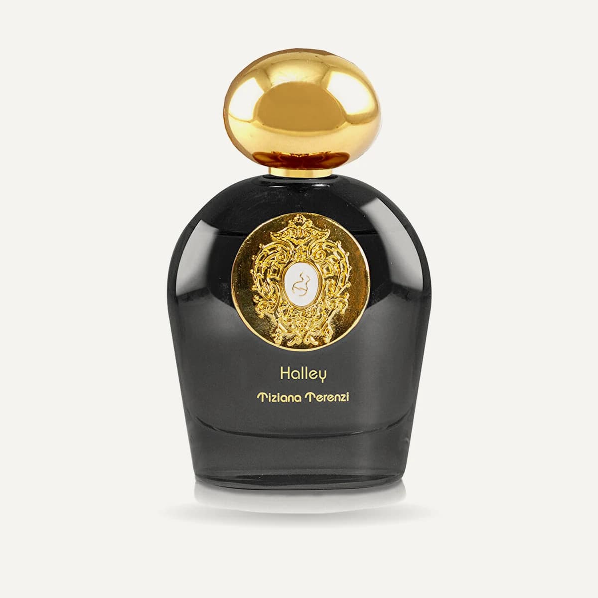 Tiziana Terenzi Comet Halley